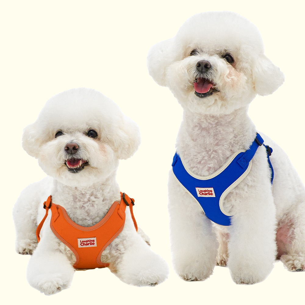 이지세이프 하네스 (3초 착용)